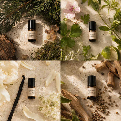 Sylvawell Discovery Set four-scent grid showing Sylva, Aeris, Alba and Sanctum natural fragrance vials with botanical ingredients